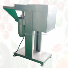Ginger Paste and Tomato Puree Machine - Garlic Grinding Machine on Sale
