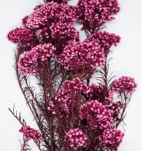 Artificial Fruit and Rice Preserved Flower Wedding Vase Arrangements