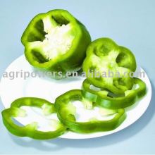 SP936 vegetable seed