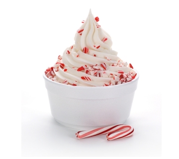 SOFT TYPE ICE CREAM POWDER