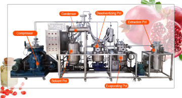 Rosehip Oil Extraction Machinery of Subcritical Extraction