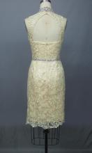 Cocktail Sexy Evening Lace Dresses