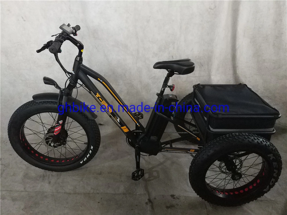 Ebike Fat Tire E Trike Three Wheels Adult Cargo Electric Tricycle