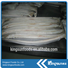 Top Quality Seafood Frozen Eel Fillet