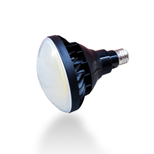 Commercial LED PAR Lights: PAR 30, PAR 38, Spot Lights & Flexible Options