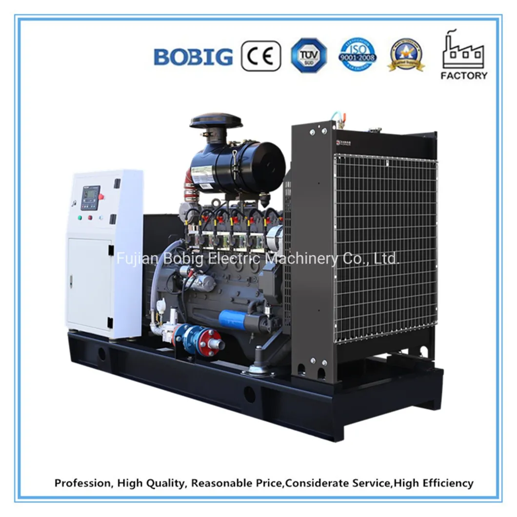 30kw to 500kw Natural Gas Biogas Sgenerator Set