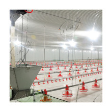 Hot Selling Automatic Chicken Pan Feeder for Poultry