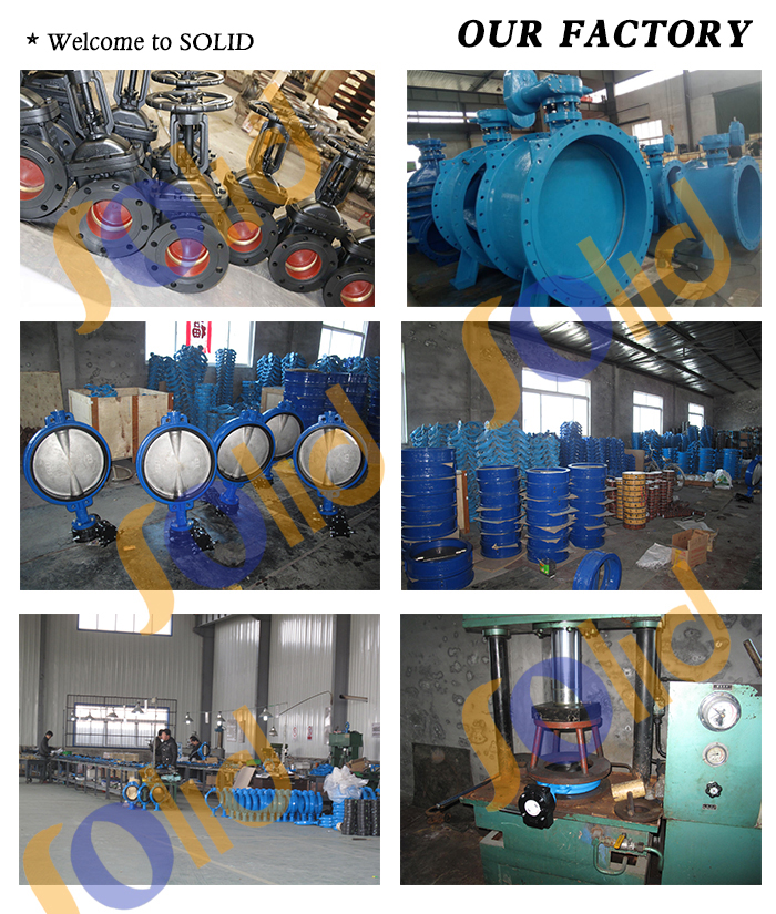 Factory Price Big Size Ductile Iron Double Disc Flanged Eccentric Butterfly Valve