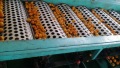 Beroemde Nanfeng baby mandarin