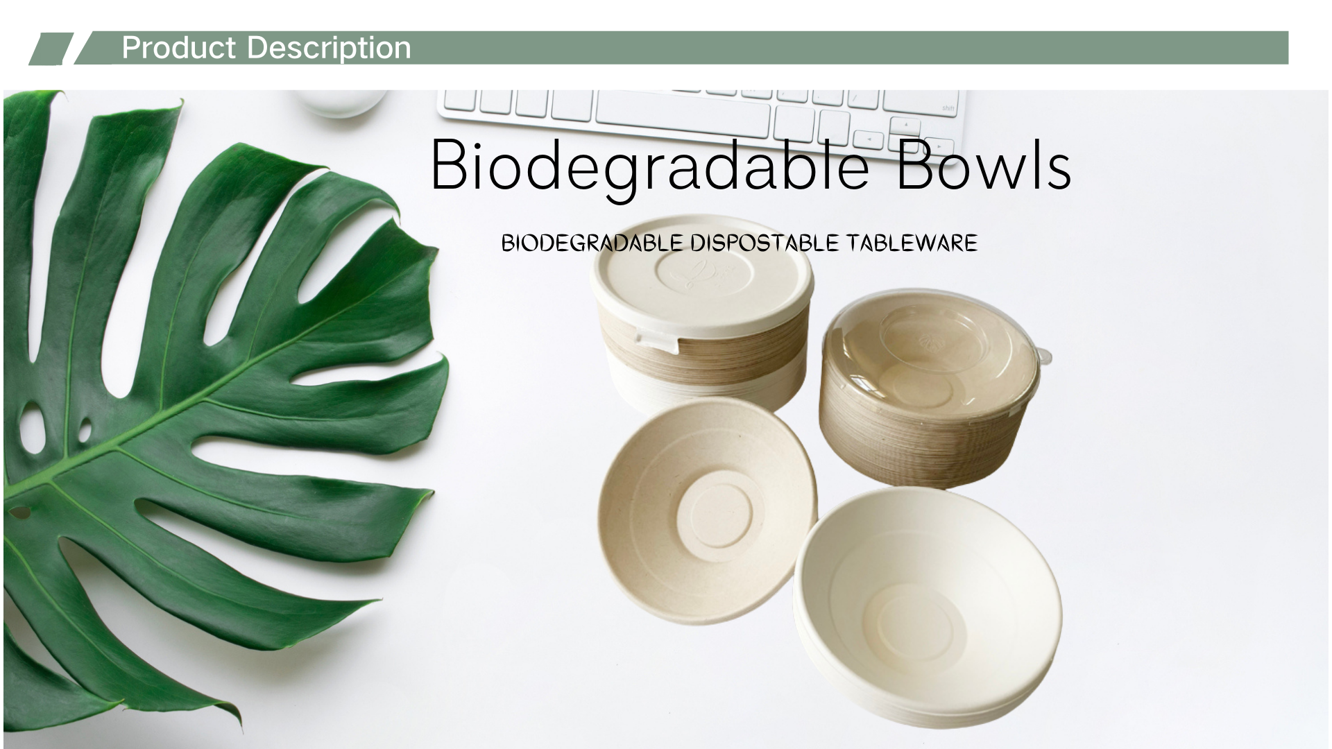 bagasse salad bowls