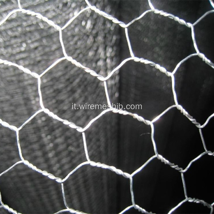 Rete metallica esagonale galvanizzata immersa calda di 1mx50m