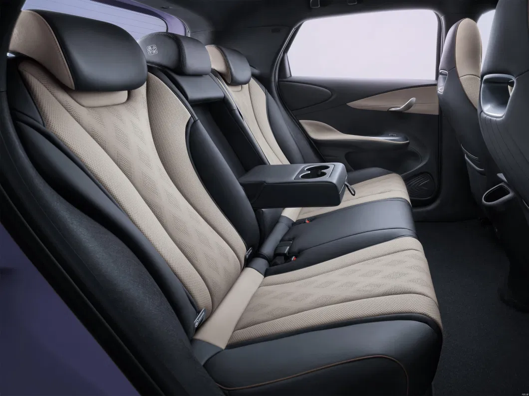 Byd Dolphin EV Electric Cheap High Speed Long Range New Energy Battery EV Electrical Electric Car
