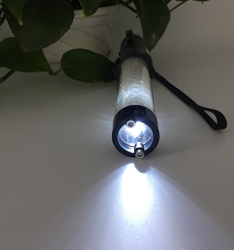 Led light wand