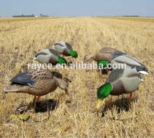 R1301 floating Duck hunting decoy with green head, plastic hunting decoys for sale
