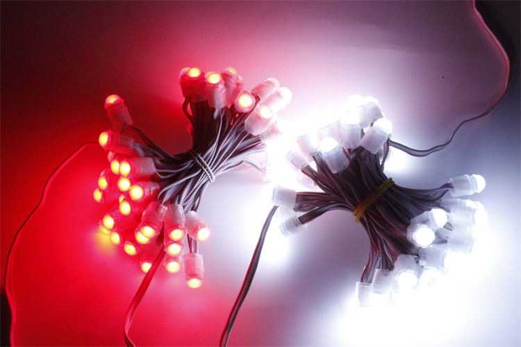 Miracle Bean holiday decoration lights outdoor IP67 12V warm white led pixel smd5050  2P wires led pixel string bulb light