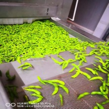 Антиматические отдельные зеленые бобы замораживающие машины