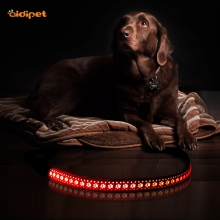 Strong Nylon Recharge Led Luminous Dog Leash