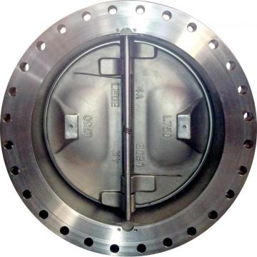 Duplex Steel Dual Plate Check Valve