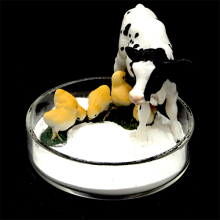 Tricalcium Phosphate Tcp 18% Feed Additives For Poultry