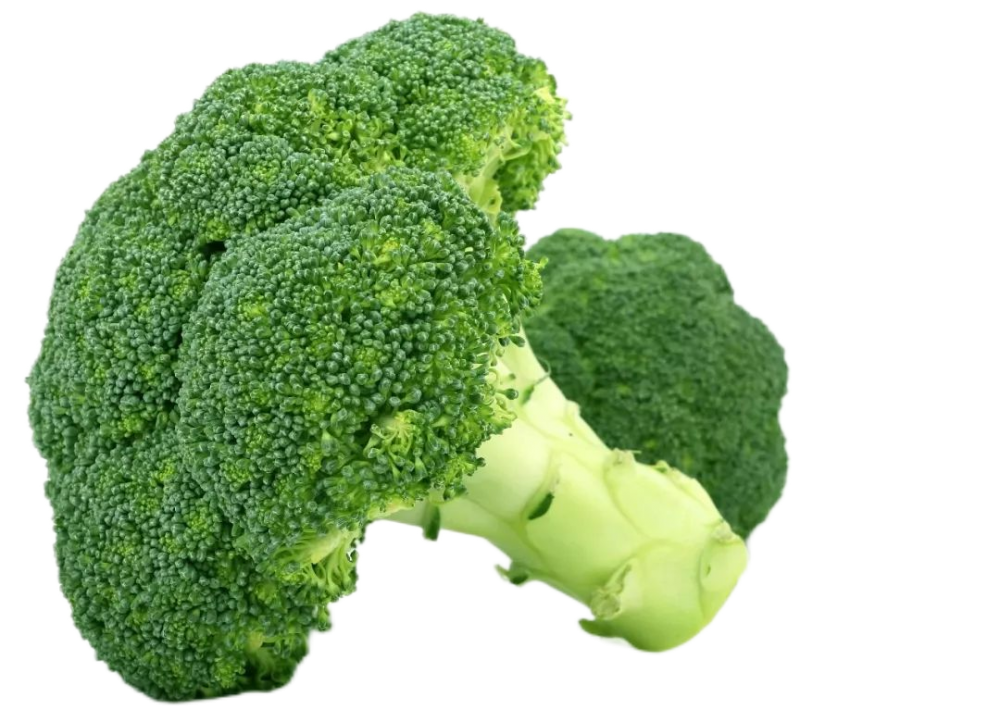 Broccoli Seed Extract