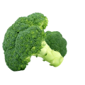 Extrait naturel de brocoli Poudre de sulforaphane