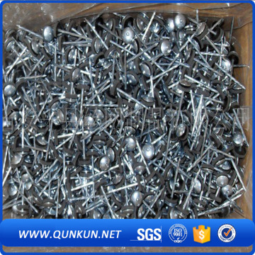 big head furniture nails