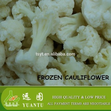 fresh frozen cauliflower iqf cauliflower