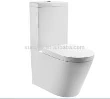 Washdown two-piece bath toilet