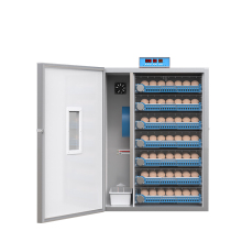 448 Capacity Egg Hatcher: Poultry Incubator for Chicken Eggs in Cabinet Design