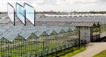 Tempered Vacuum Glass For Greenhouse