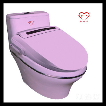 easily install cheap intelligent toilet