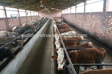 livestock fencing galvanized rural steel farm gates for sale