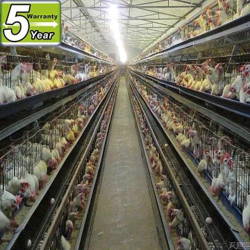 Chicken Cage,Battery Cages Laying Hens, Poultry Farming Equipment