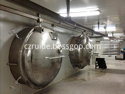 stainless steel business of fruits and tomato lyophilizer