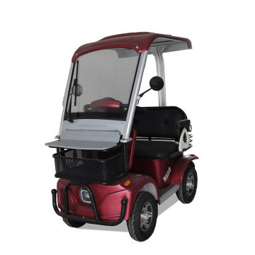 Electric Car without Driving Licence