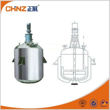 Sanitary stainless steel reactor