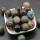 Bolas y esferas de chakra jasper de 12 mm para el equilibrio de meditación