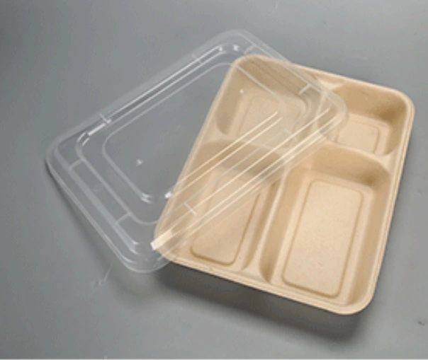 Biodegradable Composable Sugarcane Bagasse Lunch Trays