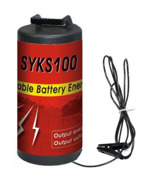 Portable dry-battery energizer