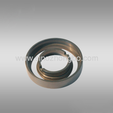 Silicon Nitride Mechanical Seals Ring?