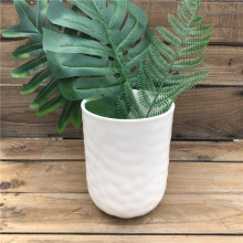 Round Shape Small Plant Pot for Succulents - Home Decoration