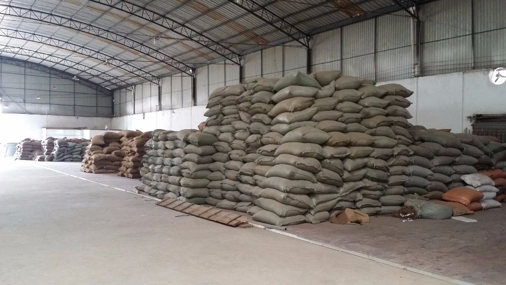 Chinese arabica green coffee beans,washed,new crop,screen:15-16, export grade