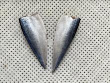 Chinese Export Frozen Fish Mackerel Mackerel Frozen Fillets