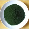 Chlorella Protein Powder 90% Nutrição Esportiva