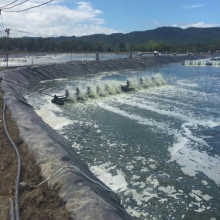 Geomembrane Dam/Landfill/Lagoon/Pond Liner Good Price