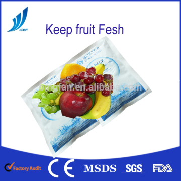 Portable Gel Ice Pack Food Storage Cold Pack Fruit Fresh Cold Bag