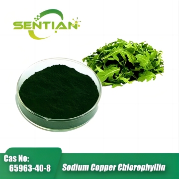 Mulberry Leaf Extract Sodium Copper Chlorophyllin 98% Powder