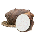 ΕΠΙΛΕΓΜΕΝΗ Υ HIGHΗΛΗΣ ΠΟΙΟΤΗΤΑΣ FRESH TARO SUPREME GRADE