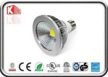 Profile Aluminum LED Par Spotlight PAR30 10W COB 900~1100LM