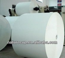 bottom paper/ cup bottom paper/ cup paper/ roll cup paper